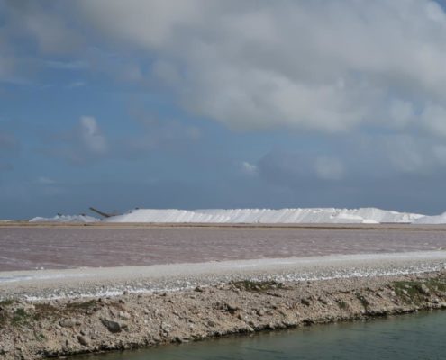 karibik_bonaire_landschaft_salzgewinnungsanlage_3