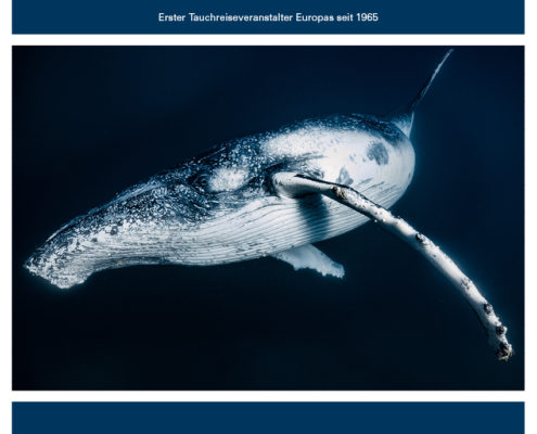 katalog_cover_2019