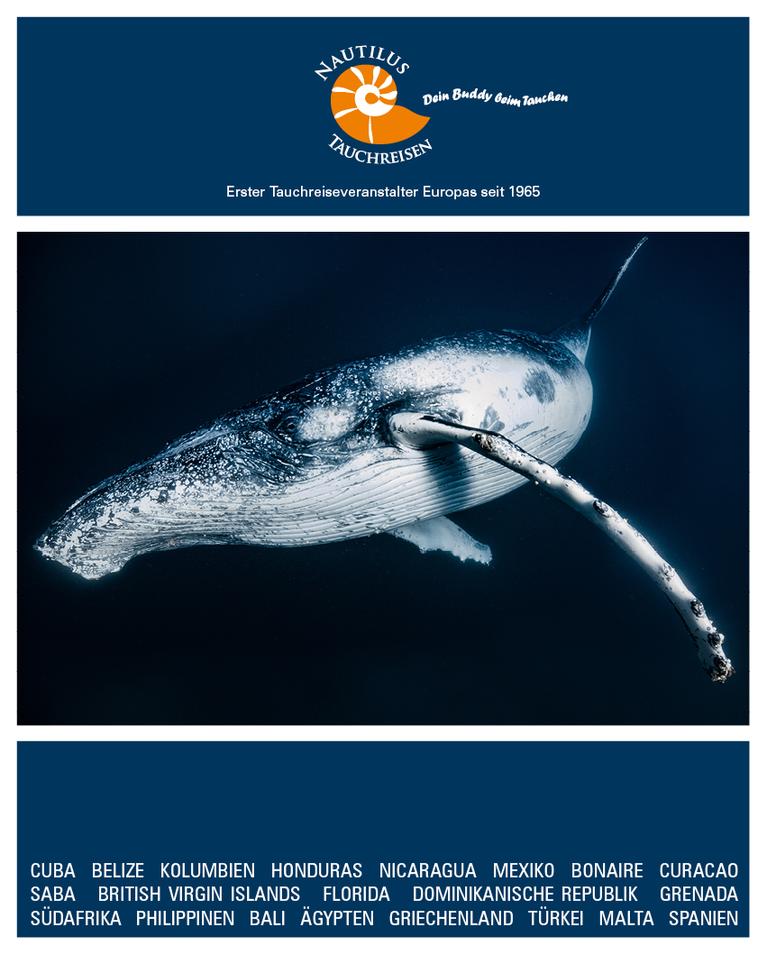 katalog_cover_2019