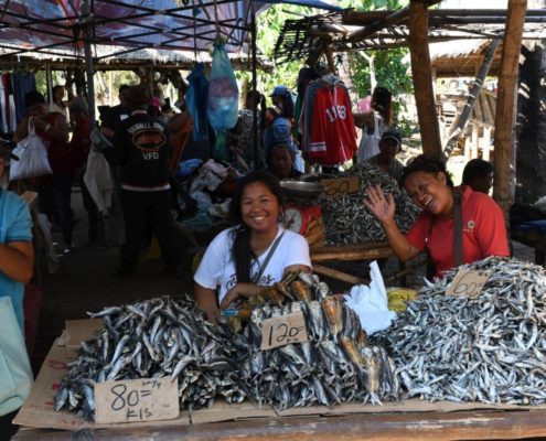 asien_philippinen_reisebericht_pollmann_negros_dauin_fish_unlimited_28