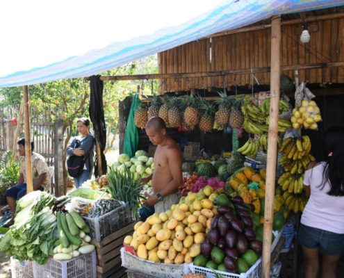 asien_philippinen_reisebericht_pollmann_negros_dauin_fish_unlimited_29