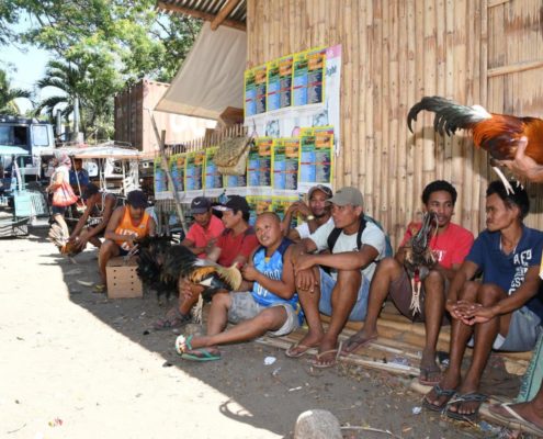 asien_philippinen_reisebericht_pollmann_negros_dauin_fish_unlimited_31