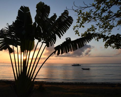 asien_philippinen_palawan_negros_reisebericht_pollmann_1