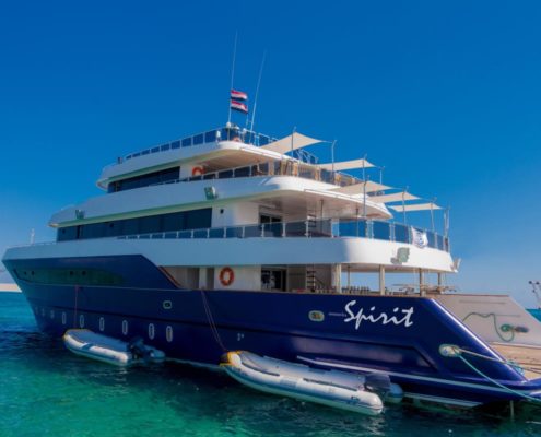 aegypten_tauchsafari_omneia_schiff20