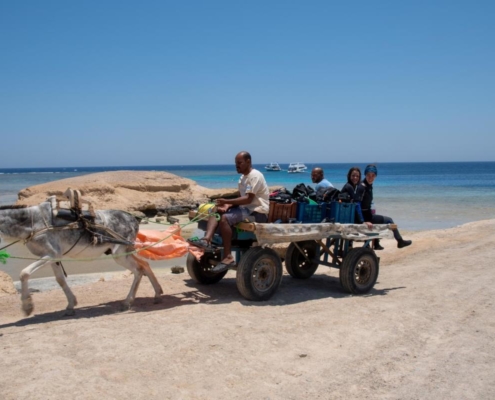 aegypten_el_quseir_mangrove_bay_pollmann_05