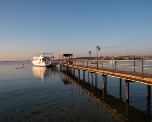 aegypten_el_quseir_mangrove_bay_pollmann_09