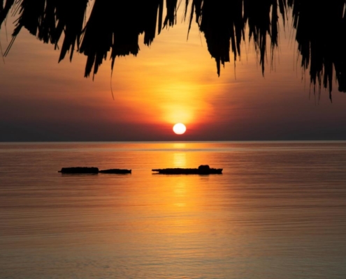 aegypten_el_quseir_mangrove_bay_pollmann_10