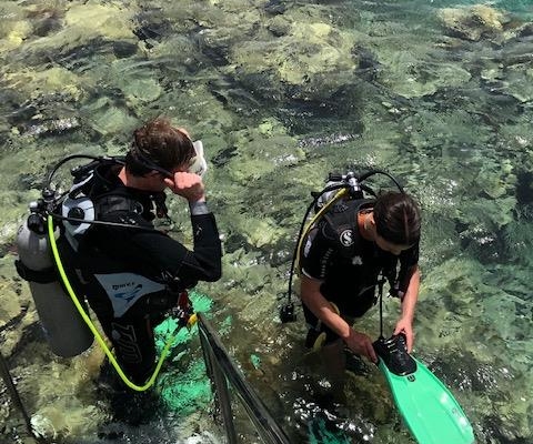 aegypten_el_quseir_mangrove_bay_pollmann_hochkant_usw05