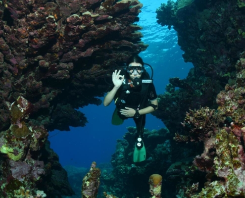 egypten_el_quseir_mangrove_bay_pollmann_unterwasser33