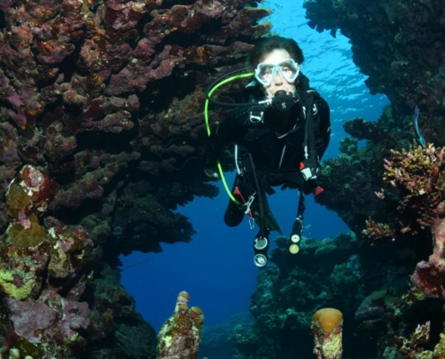 aegypten_el_quseir_mangrove_bay_pollmann_unterwasser34