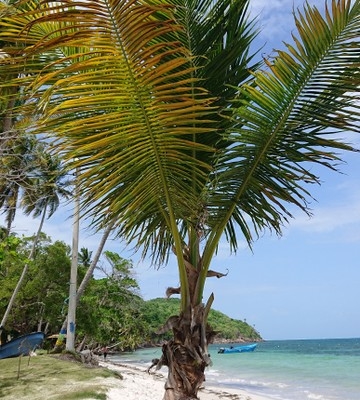 kolumbien_providencia_san_andres_reisebericht_urlaub_karibik_13