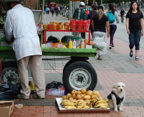 kolumbien_reisebericht_providencia_bogota08