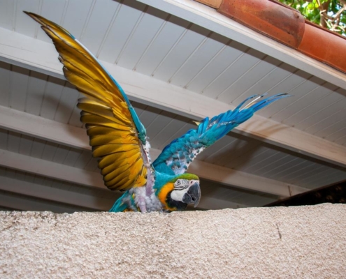 karibik_curacao_bonaire_gruppenreise_holger25