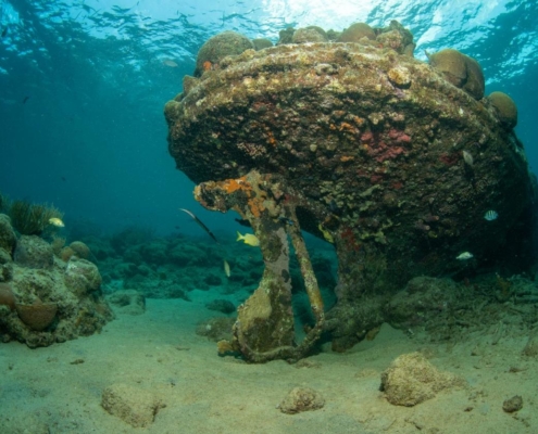 karibik_curacao_bonaire_gruppenreise_holger_unterwasserphotos02