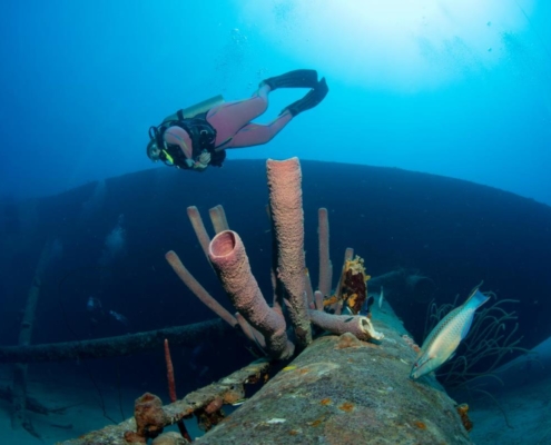 karibik_curacao_bonaire_gruppenreise_holger_unterwasserphotos14