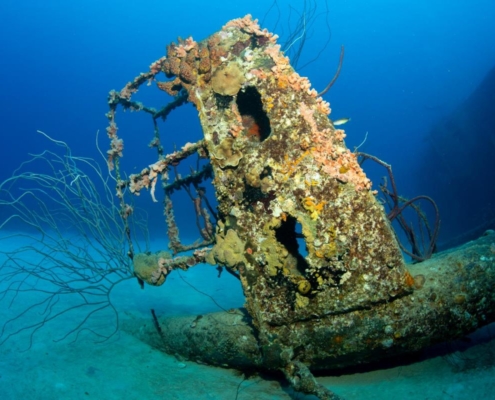karibik_curacao_bonaire_gruppenreise_holger_unterwasserphotos15