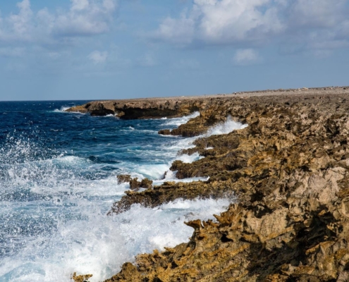 karibik_curacao_bonaire_gruppenreise_holger_unterwasserphotos36