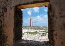 Lacre Punt: Willemstoren Leuchtturm / South End, Bonaire