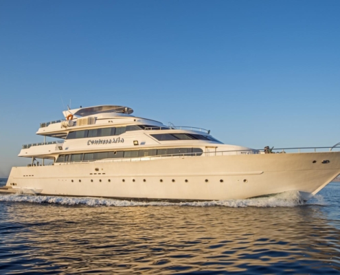 Sea Serpent Contessa