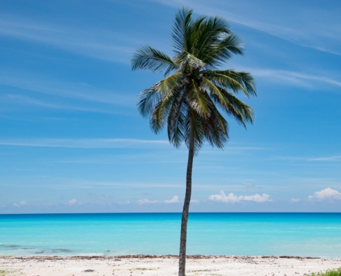 karibik_dom_rep_tauchen_bayahibe_tauchreisen_dominikanische_republik_sightseeing_14
