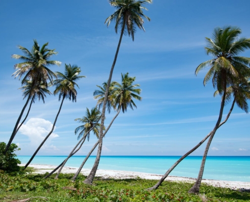karibik_dom_rep_tauchen_bayahibe_tauchreisen_dominikanische_republik_sightseeing_15