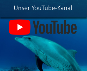 banner_nautilus_tauchreisen_youtube_kanal_channel