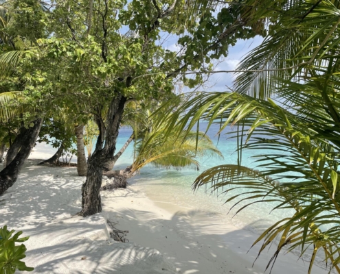 malediven_tauchen_tauchreisen_Tauchurlaub_sued_ari_atoll_vilemandhoo_bungalow_strand