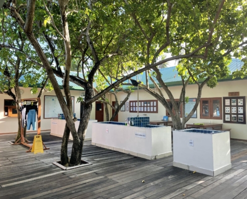 malediven_tauchen_tauchreisen_Tauchurlaub_sued_ari_atoll_vilemandhoo_eurodivers_tauchbasis