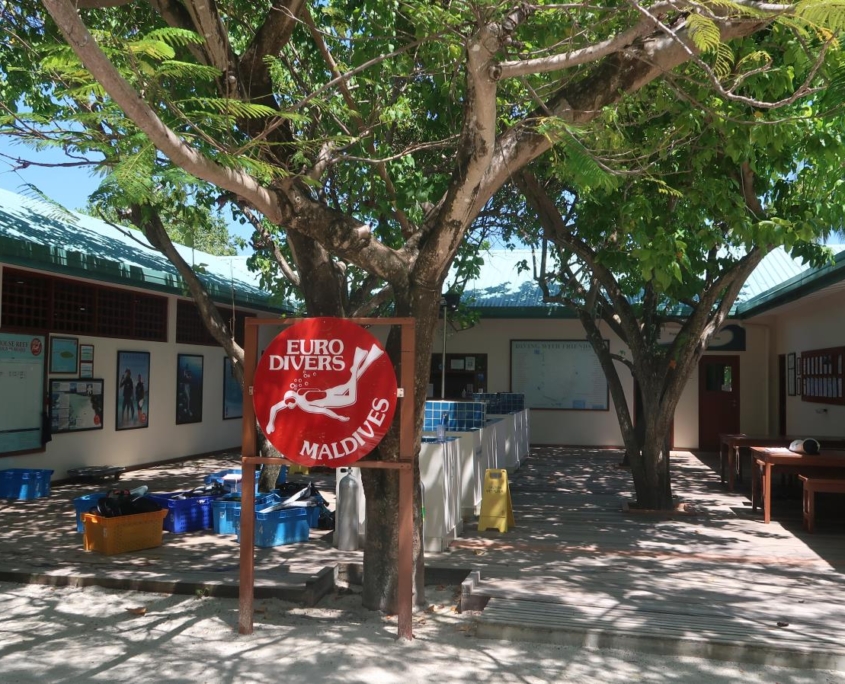 malediven_tauchen_tauchreisen_Tauchurlaub_sued_ari_atoll_vilemandhoo_eurodivers_tauchbasis2