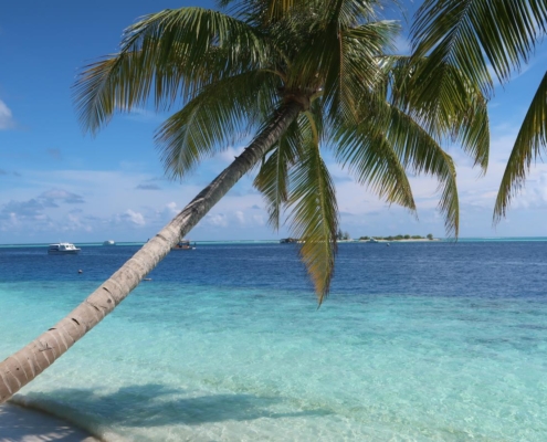 malediven_tauchen_tauchreisen_Tauchurlaub_sued_ari_atoll_vilemandhoo_strand