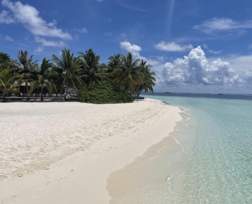 malediven_tauchen_tauchreisen_Tauchurlaub_sued_ari_atoll_vilemandhoo_strand3