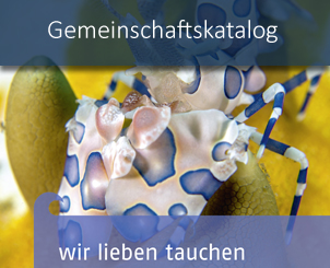 startseite_neuer_katalog_2023