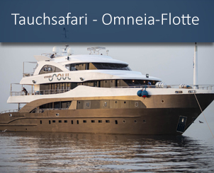 banner_aegypten_tauchsafari_omneia_soul2