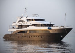 rotes_meer_aegypten_tauchsafaris_omneia_soul_tauchschiff_16