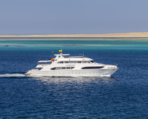 aegypten_rotes_meer_seawolf_dominator_tauchschiff_3