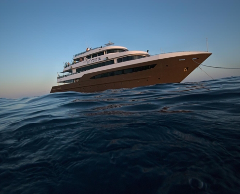 rotes_meer_aegypten_tauchsafari_tauchreisen_tauchen_3