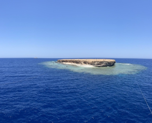 rotes_meer_aegypten_tauchsafari_top_tauchplaetze_brother_islands_7