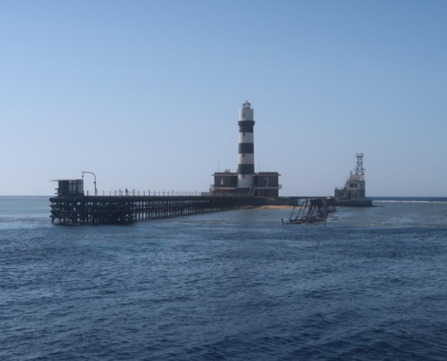 aegypten_rotes_meer_tauchsafari_brothers_daedalus_elphinstone_tauchen_24