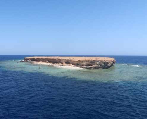 aegypten_rotes_meer_tauchsafari_brothers_daedalus_elphinstone_tauchen_25
