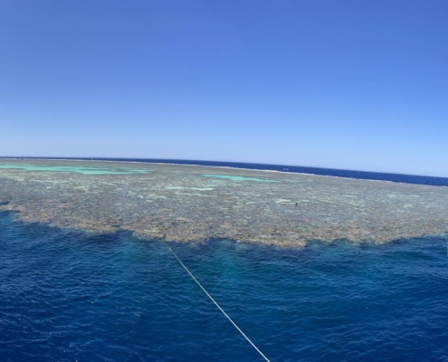 aegypten_rotes_meer_tauchsafari_brothers_daedalus_elphinstone_tauchen_26