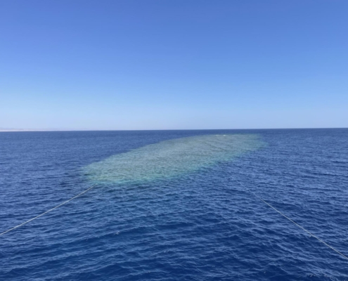 aegypten_rotes_meer_tauchsafari_brothers_daedalus_elphinstone_tauchen_27