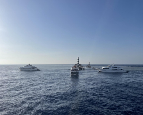 aegypten_rotes_meer_tauchsafari_brothers_daedalus_elphinstone_tauchen_28