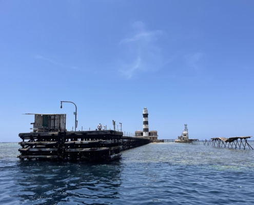 aegypten_rotes_meer_tauchsafari_brothers_daedalus_elphinstone_tauchen_30