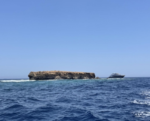 aegypten_rotes_meer_tauchsafari_brothers_daedalus_elphinstone_tauchen_32