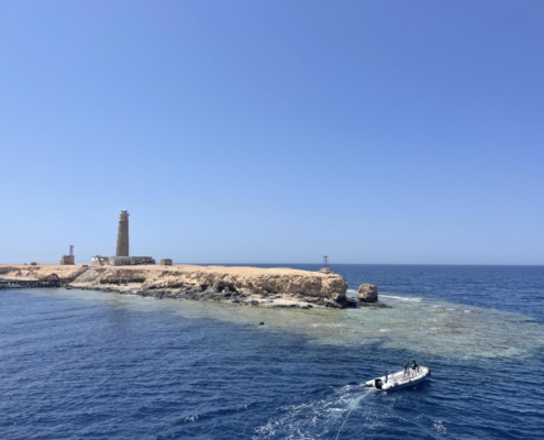 aegypten_rotes_meer_tauchsafari_brothers_daedalus_elphinstone_tauchen_33