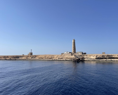 aegypten_rotes_meer_tauchsafari_brothers_daedalus_elphinstone_tauchen_34