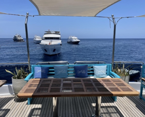 aegypten_rotes_meer_tauchsafari_spirit_omneia_tauchschiff_11