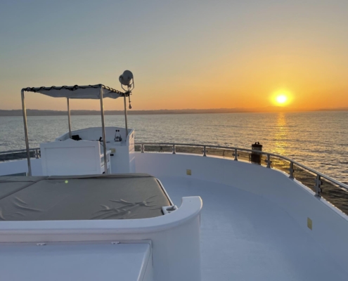 aegypten_rotes_meer_tauchsafari_spirit_omneia_tauchschiff_13