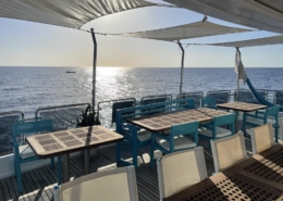 aegypten_rotes_meer_tauchsafari_spirit_omneia_tauchschiff_14