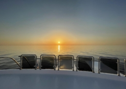 aegypten_rotes_meer_tauchsafari_spirit_omneia_tauchschiff_9